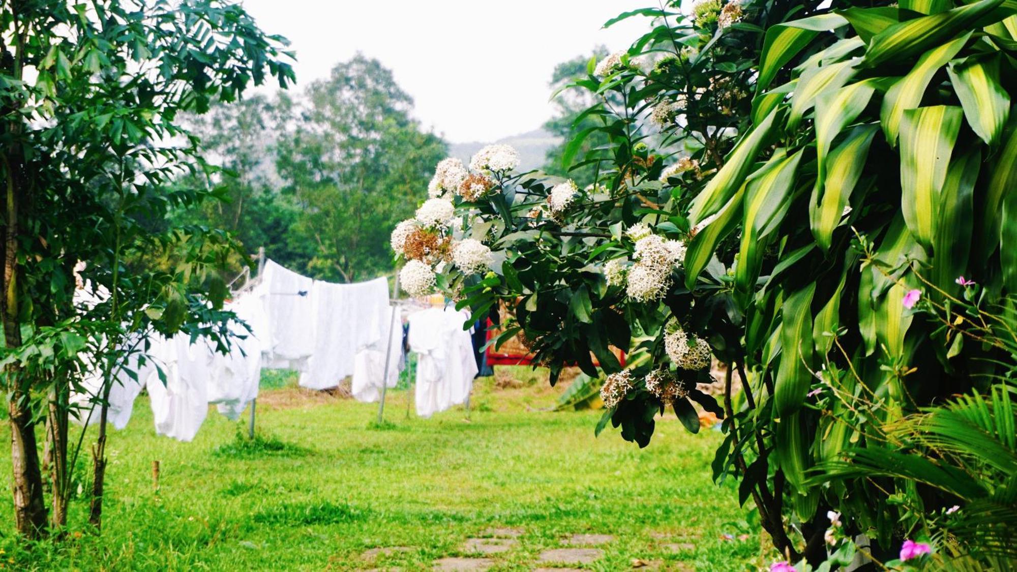 Phong Nha Eco Village 外观 照片