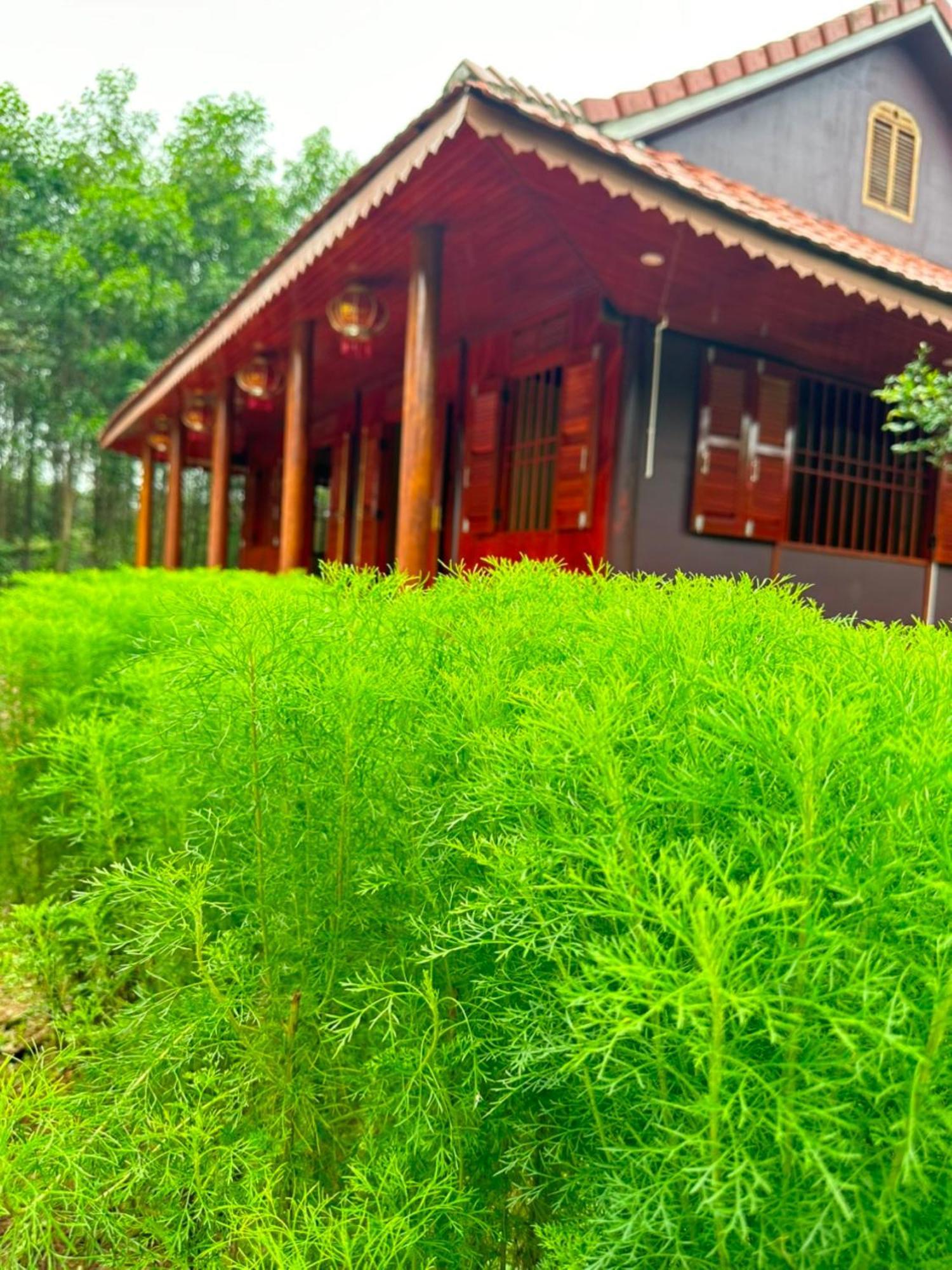 Phong Nha Eco Village 外观 照片