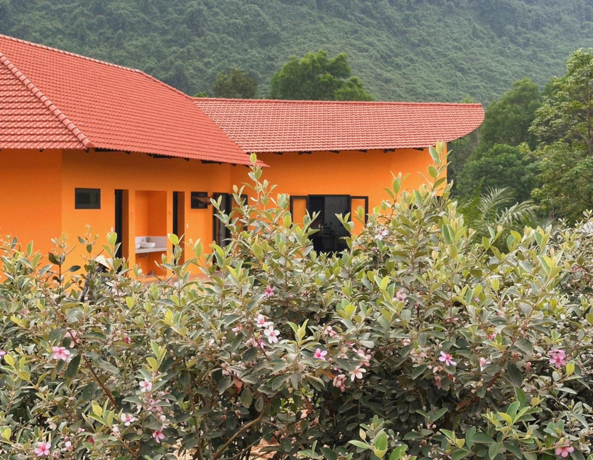 Phong Nha Eco Village 外观 照片