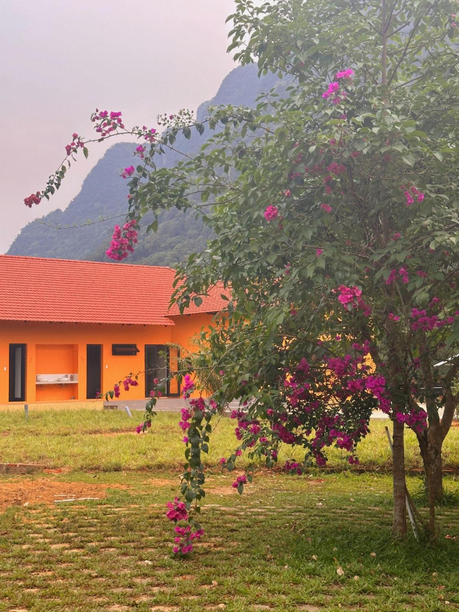 Phong Nha Eco Village 外观 照片